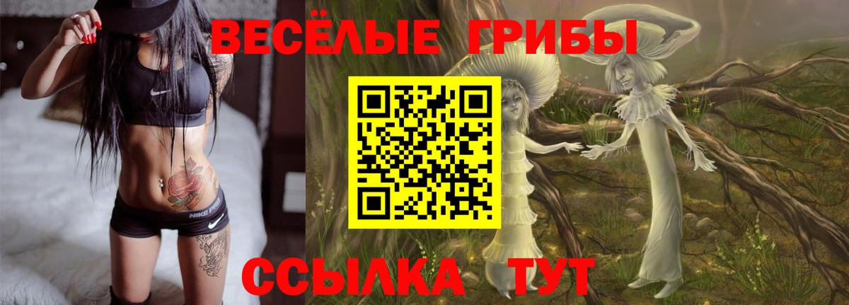 Псилоцибиновые грибы ЛСД Москва