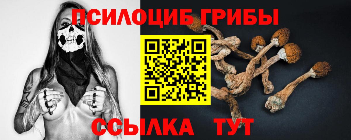 Псилоцибиновые грибы Psilocybe  Вход с VPN  Москва 